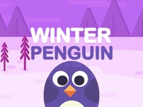 Winter Penguin Image