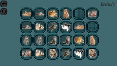 Animals Memory: Cats Image