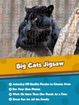 Big Cats Puzzle 4 Kids Endless Jigsaw-Adventure Image