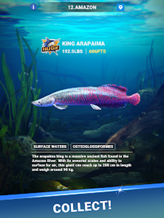 Fishing Travel screenshot