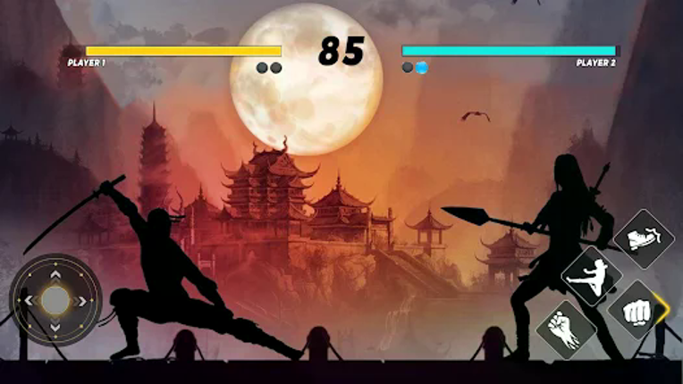 Sword Shadow Fighting Game 3D screenshot