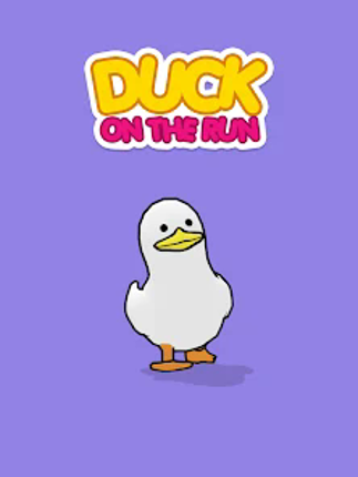 Duck On The Run screenshot