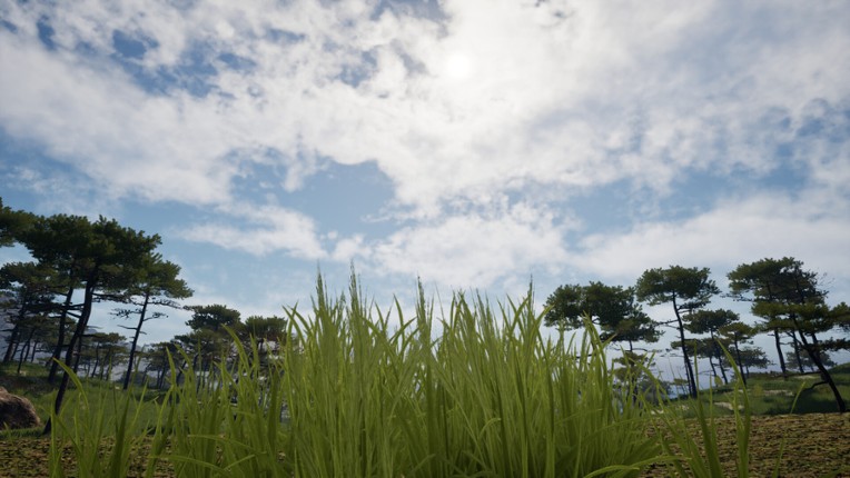 Grass Life Sim 2 screenshot