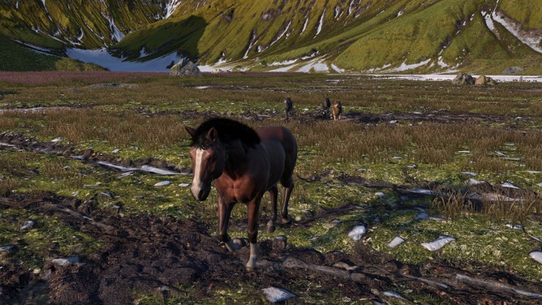 HORSE LIFE: find horses in open world, survive in wild nature as a foal or pony screenshot