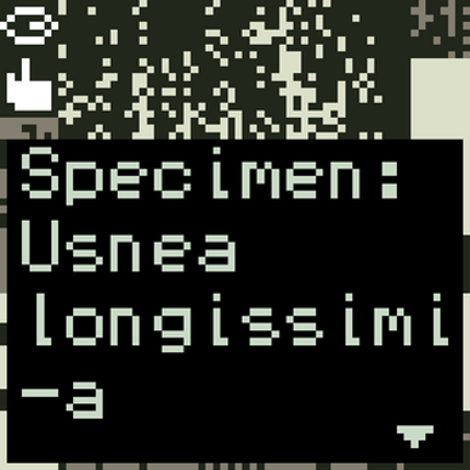 Lichen Whisperer screenshot