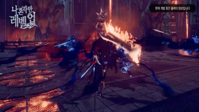 Solo Leveling Arise Image