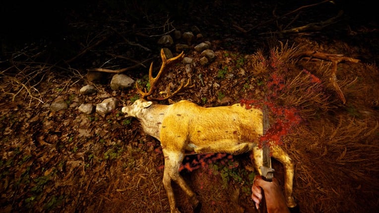 The Lost Hunter screenshot