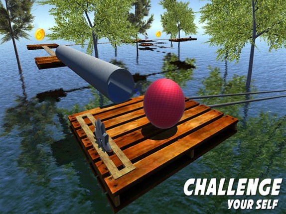 Balance The Crazy Ball Image