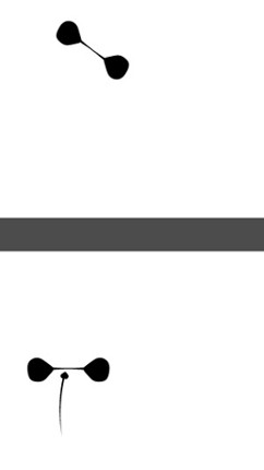 Curvy Snake screenshot