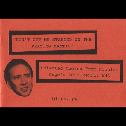 Don't Get Me Started On The Praying Mantis Image