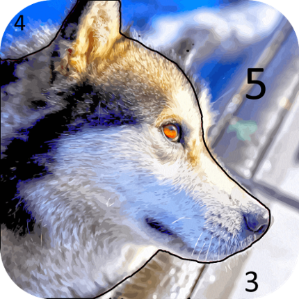 Magic Color | Paint by Number Image