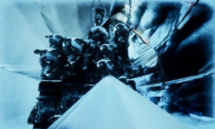 Chesed Image