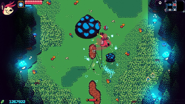 Shield Cat screenshot