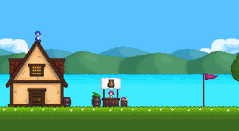 Wizbirds Online screenshot