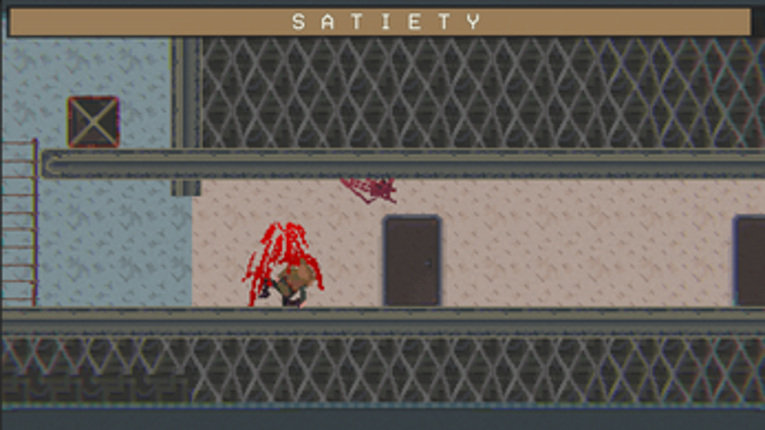 Sacculum Cerbi Image