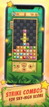 Block Jewel: Tentrix Puzzle Image