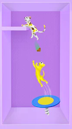 Flip Pounce Image