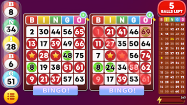 Bingo - Offline Bingo Games Image