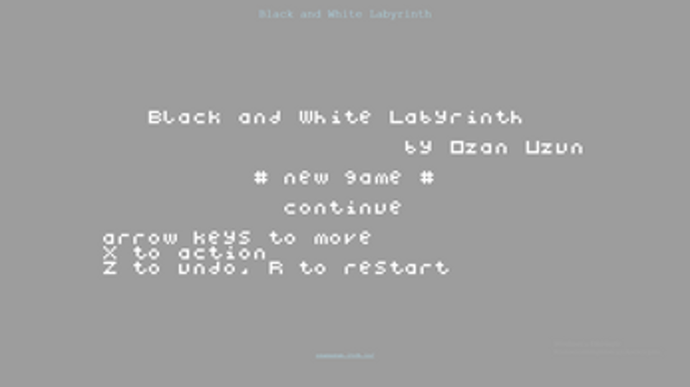 Black and White Labyrinth Image