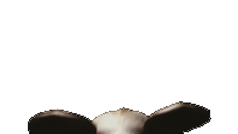 fnati jumpscare sim screenshot