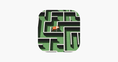 Maze Dog 3D Image