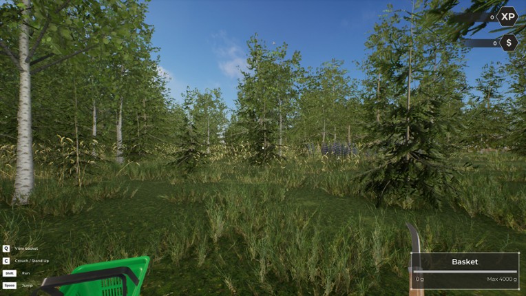 Mushroom Hunter World screenshot