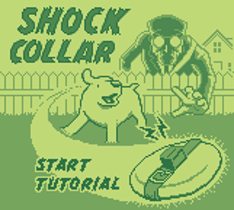 Shock Collar Image