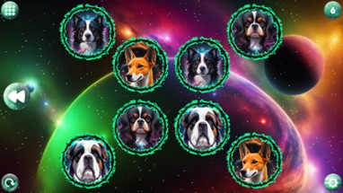 Space Memory: Dogs Image