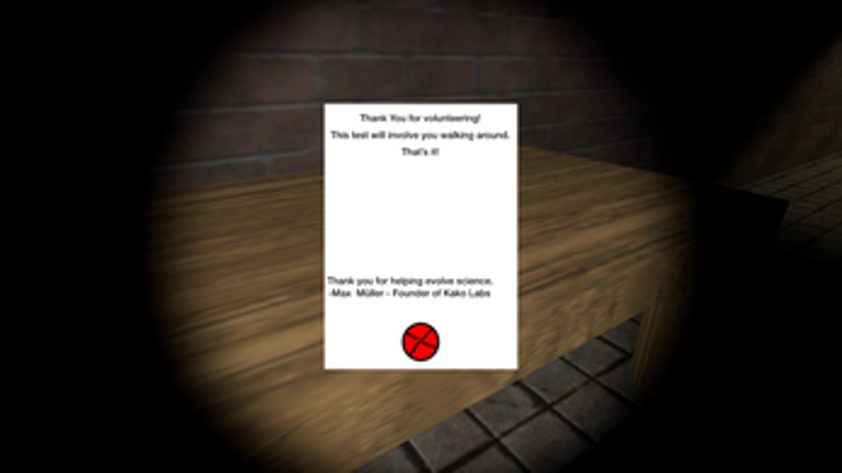 The Deterioration Experiment screenshot