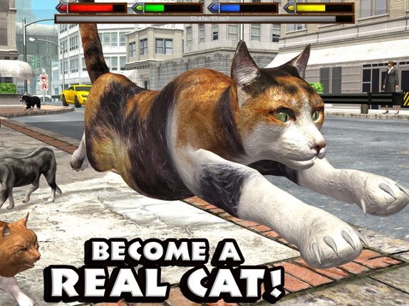 Ultimate Cat Simulator Image