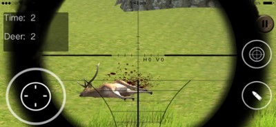 Wild Deer Sniper Hunting : Image