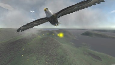 Aquila Bird Flight Simulator Image