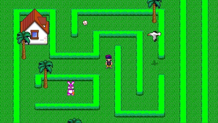 Foto Flash screenshot