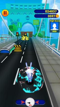 Pet Subway Surfer Image