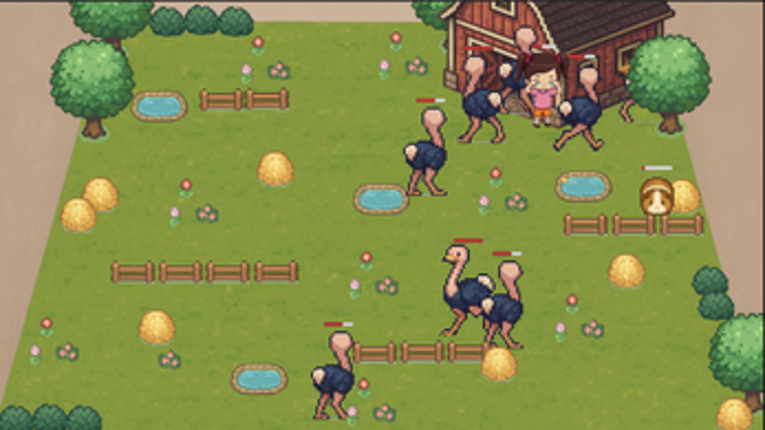 Guinea Pig Run Image