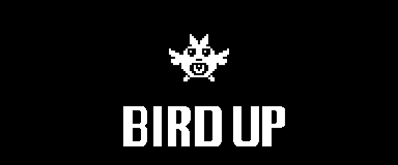 Touhou Bird Up screenshot