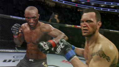 UFC 4 Image