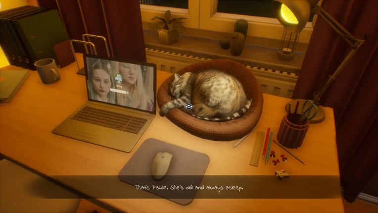 Dear Diary Image