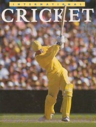 International Cricket Game Cover