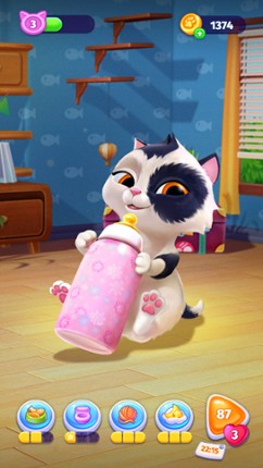 My Cat Image