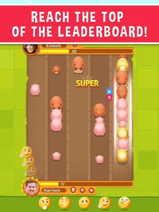 Piggy Fight - Online Game screenshot