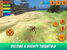 Poisonous Tarantula Spider Simulator Image