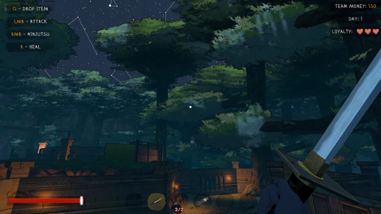 Save The Ninja! Image