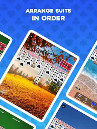 Spider Solitaire: Card Games Image