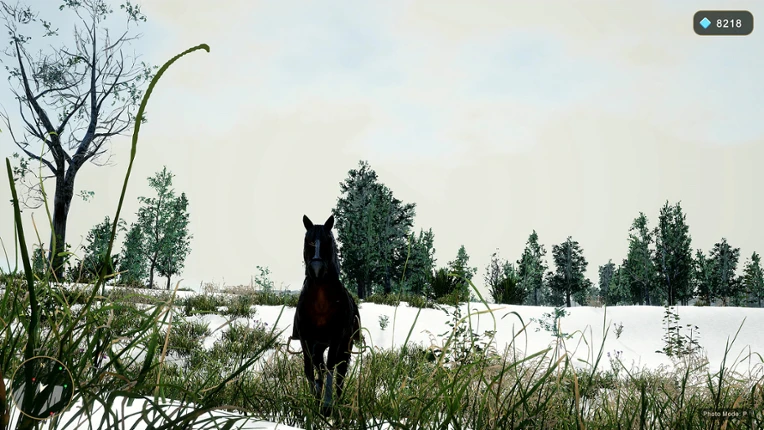 Horse Spirit Valley 2 screenshot