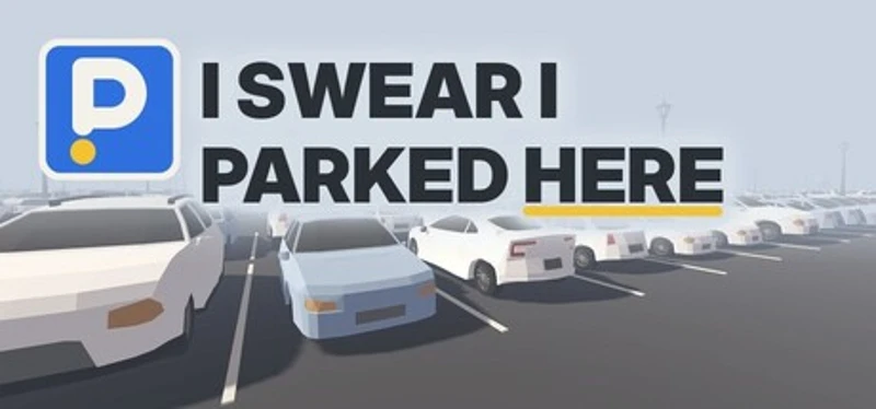 I Swear I Parked Here Image