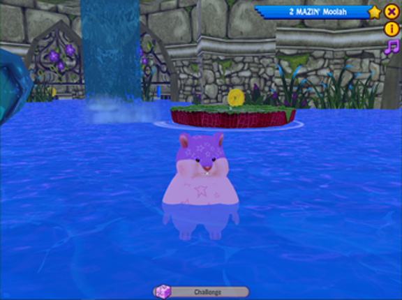 Mazin' Hamsters Rewritten screenshot