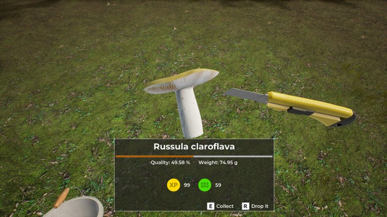 Mushroom Hunter World screenshot