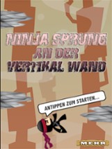 Ninja Sprung LT Image