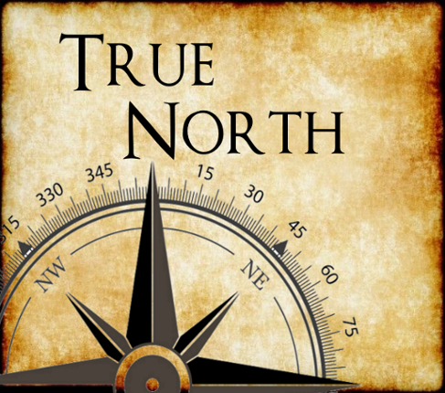 True North Game Cover